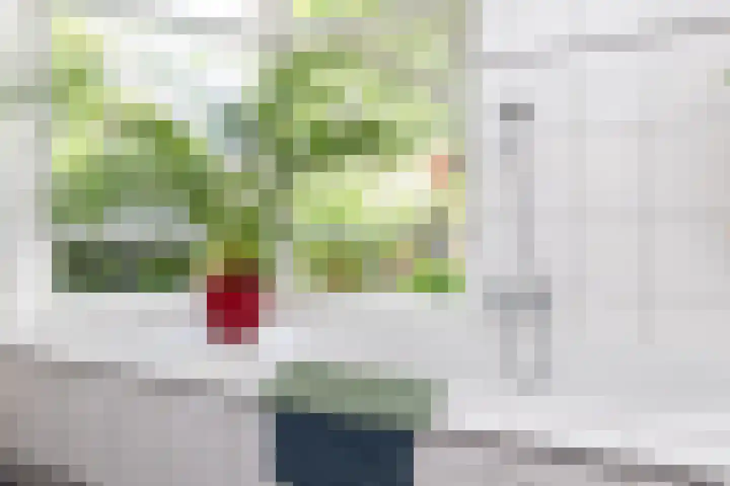 Popelmanslaan 2 Alkmaar thumbnail 23