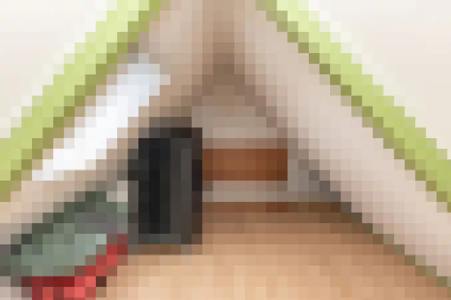Popelmanslaan 2 Alkmaar thumbnail 34