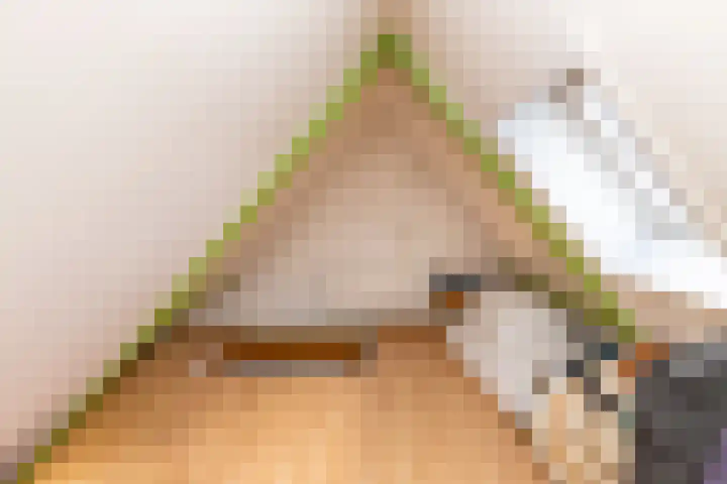 Popelmanslaan 2 Alkmaar thumbnail 35
