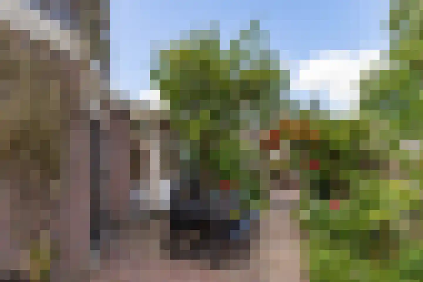Popelmanslaan 2 Alkmaar thumbnail 36