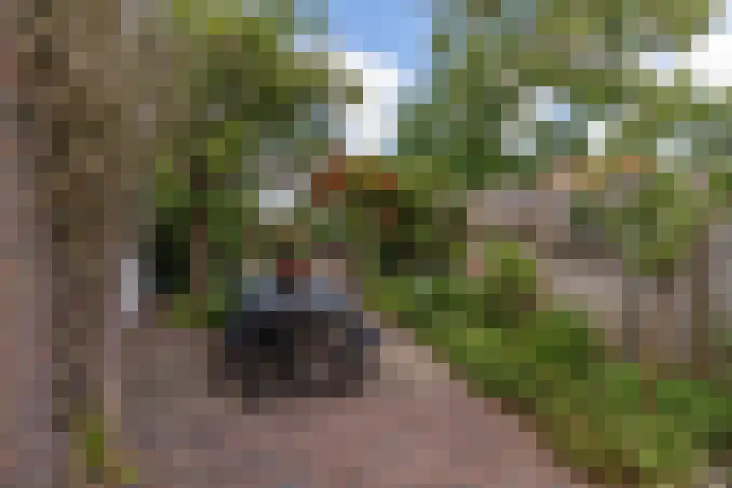 Popelmanslaan 2 Alkmaar thumbnail 37