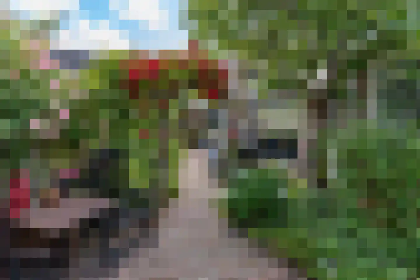 Popelmanslaan 2 Alkmaar thumbnail 38