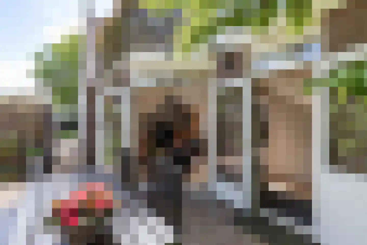 Popelmanslaan 2 Alkmaar thumbnail 42