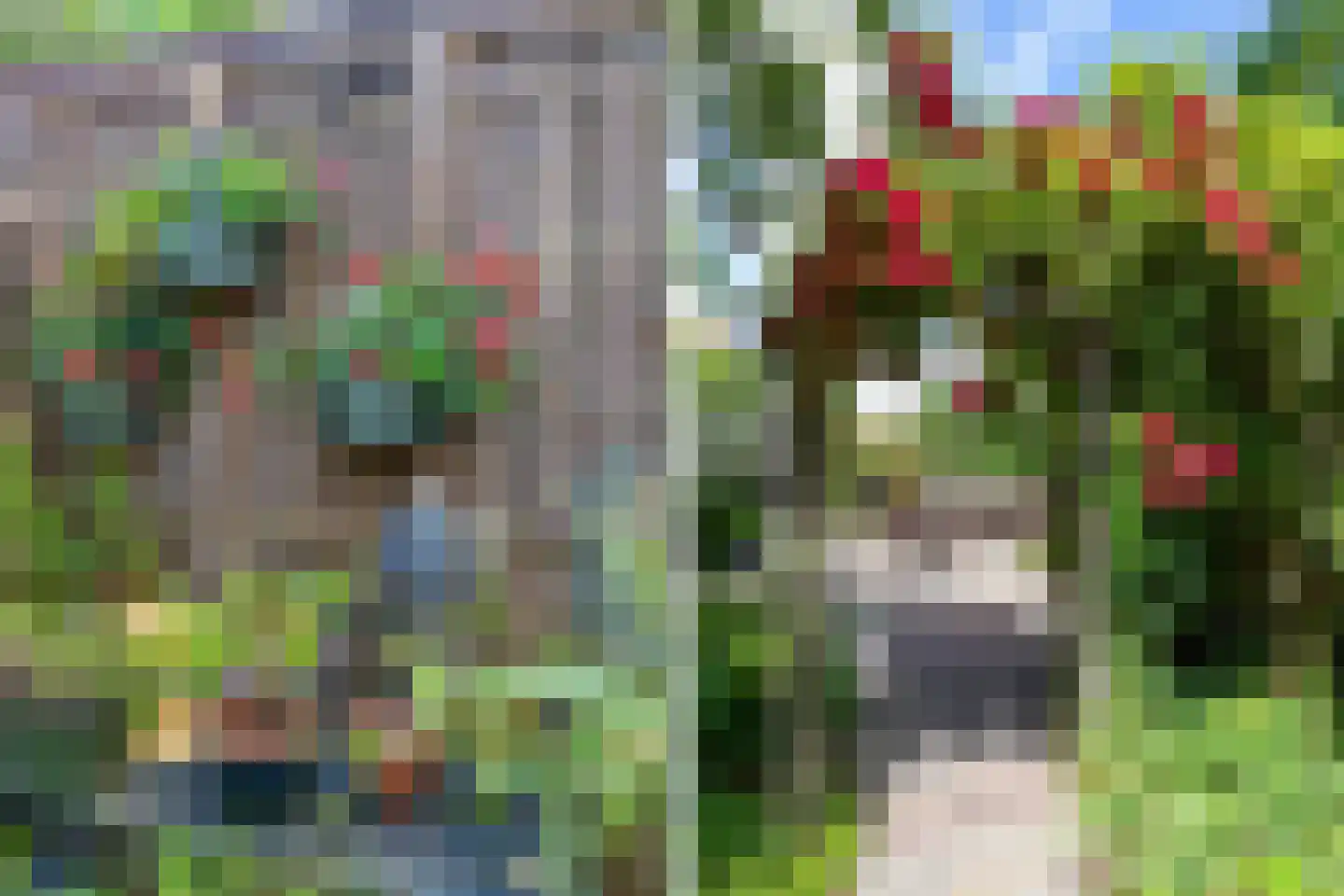 Popelmanslaan 2 Alkmaar thumbnail 43