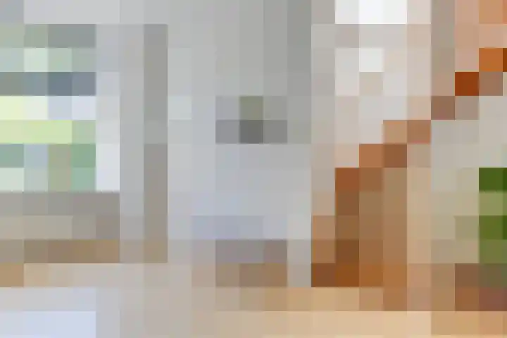Popelmanslaan 20 Alkmaar thumbnail 13