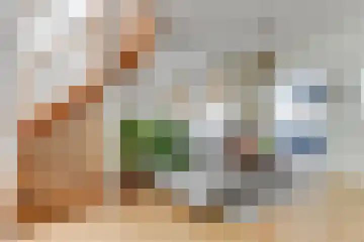 Popelmanslaan 20 Alkmaar thumbnail 14
