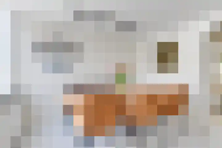Popelmanslaan 20 Alkmaar thumbnail 20