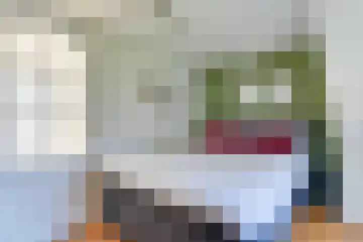Popelmanslaan 20 Alkmaar thumbnail 26