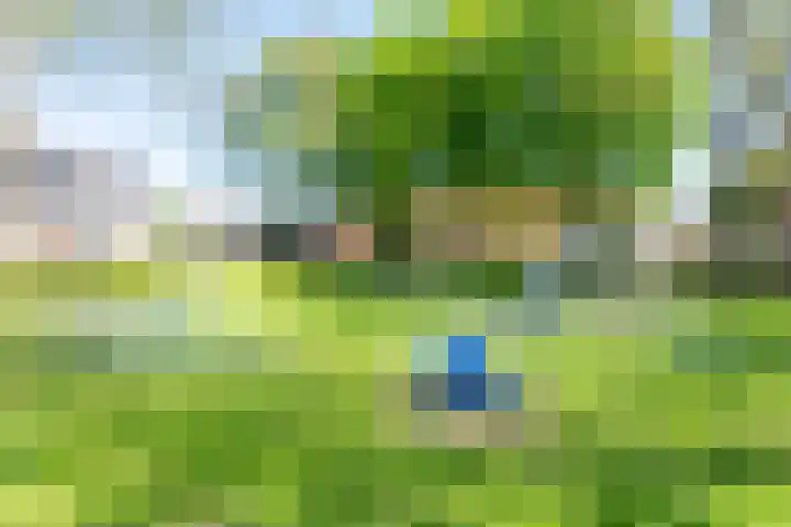 Popelmanslaan 20 Alkmaar thumbnail 46