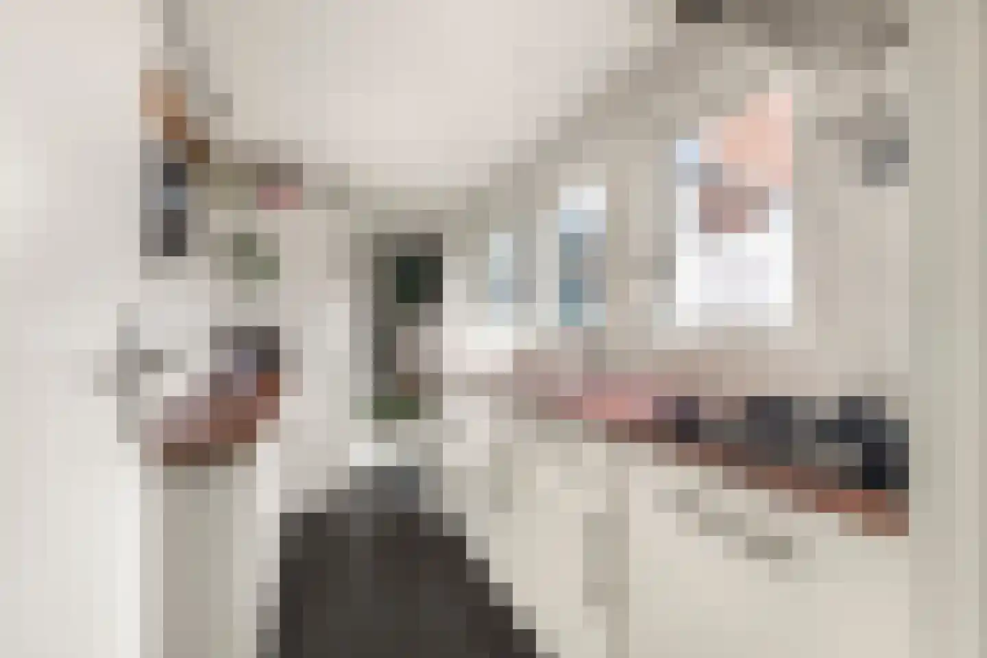 Popelmanslaan 24 Alkmaar thumbnail 15