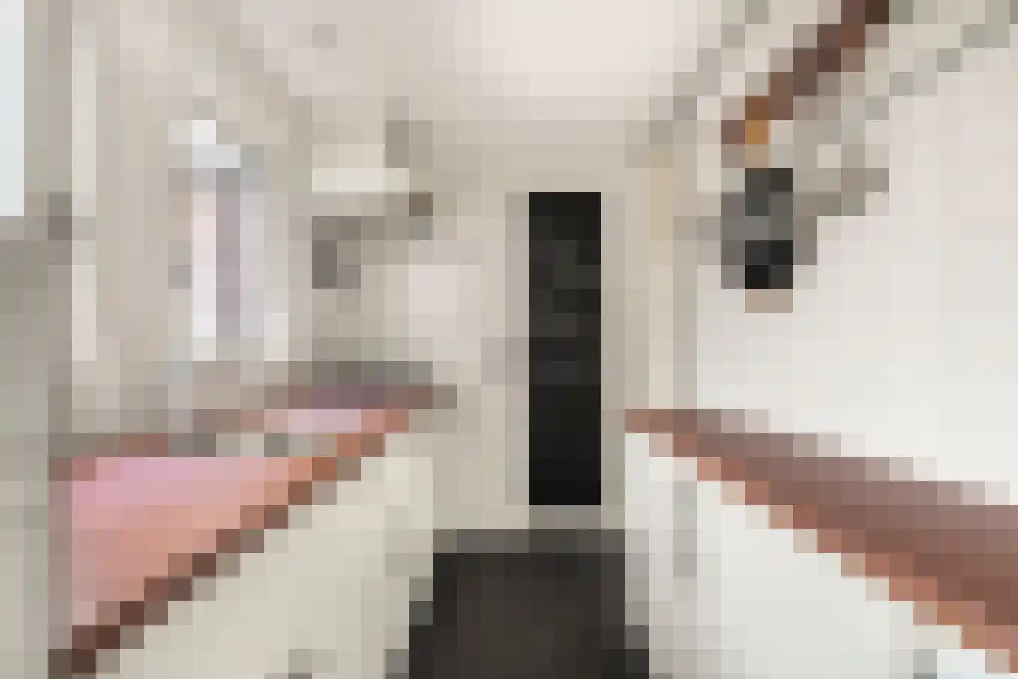 Popelmanslaan 24 Alkmaar thumbnail 16