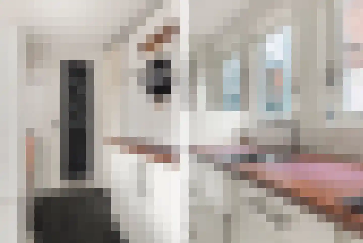Popelmanslaan 24 Alkmaar thumbnail 17