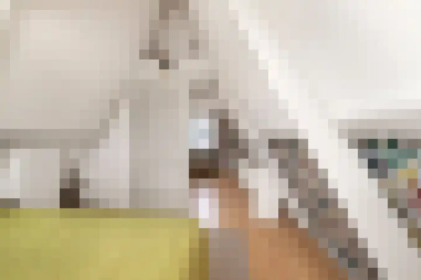Popelmanslaan 24 Alkmaar thumbnail 22