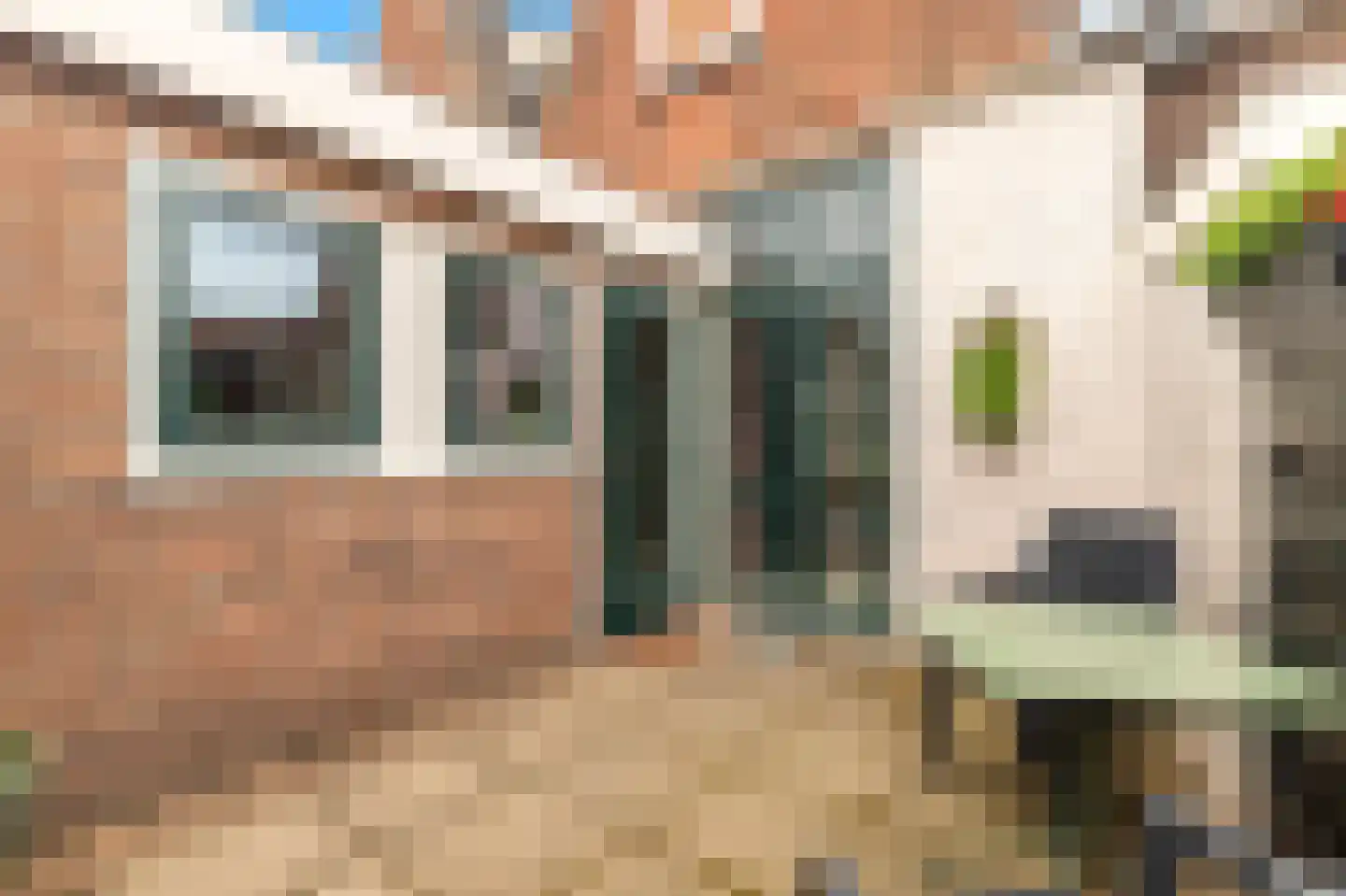 Popelmanslaan 24 Alkmaar thumbnail 28
