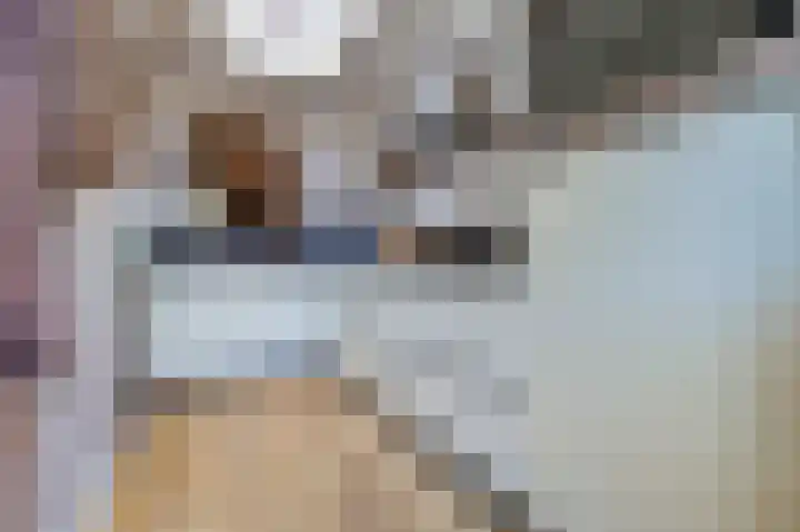 Popelmanslaan 5 Alkmaar thumbnail 11