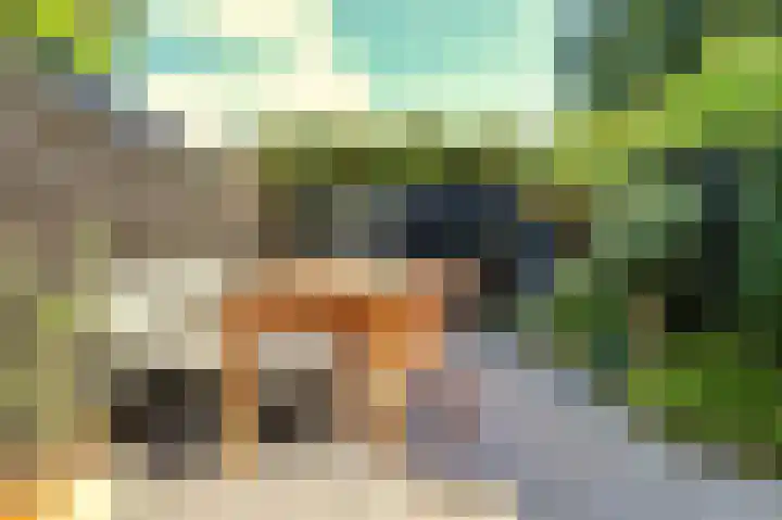 Popelmanslaan 5 Alkmaar thumbnail 13