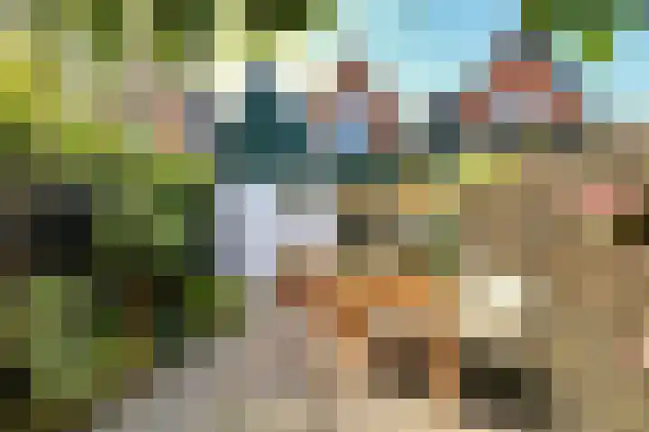 Popelmanslaan 5 Alkmaar thumbnail 14