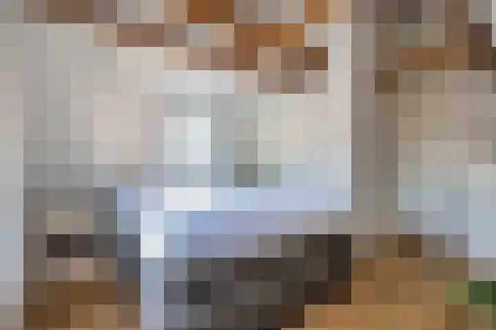 Popelmanslaan 5 Alkmaar thumbnail 19