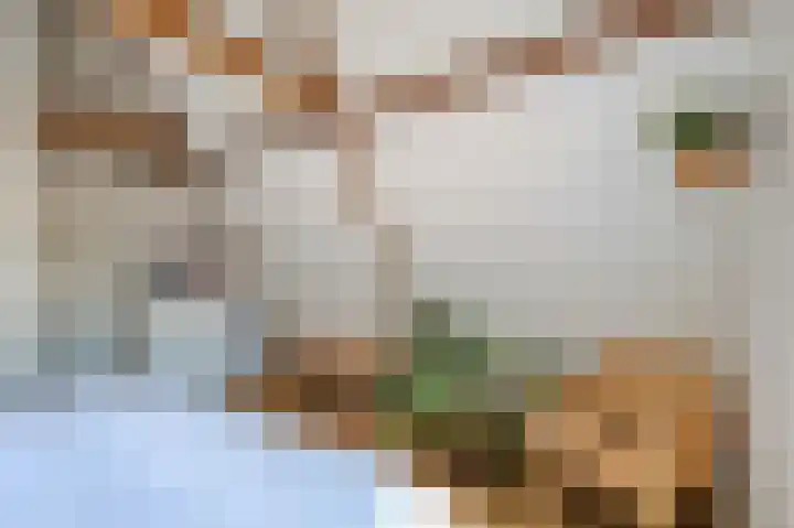 Popelmanslaan 5 Alkmaar thumbnail 20