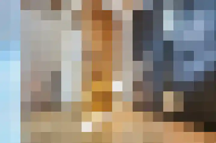 Popelmanslaan 5 Alkmaar thumbnail 21