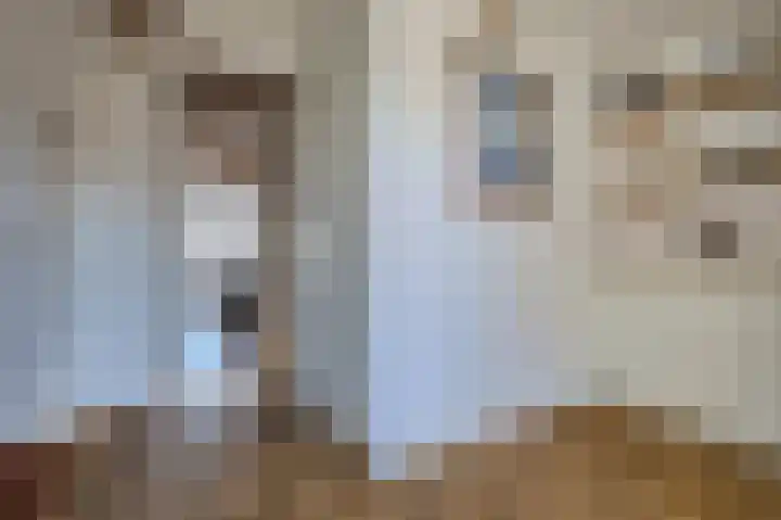 Popelmanslaan 5 Alkmaar thumbnail 24
