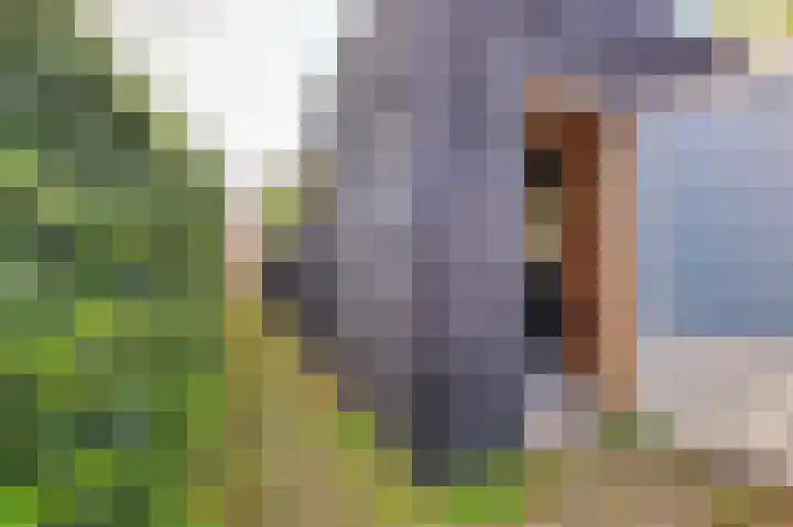 Popelmanslaan 5 Alkmaar thumbnail 25