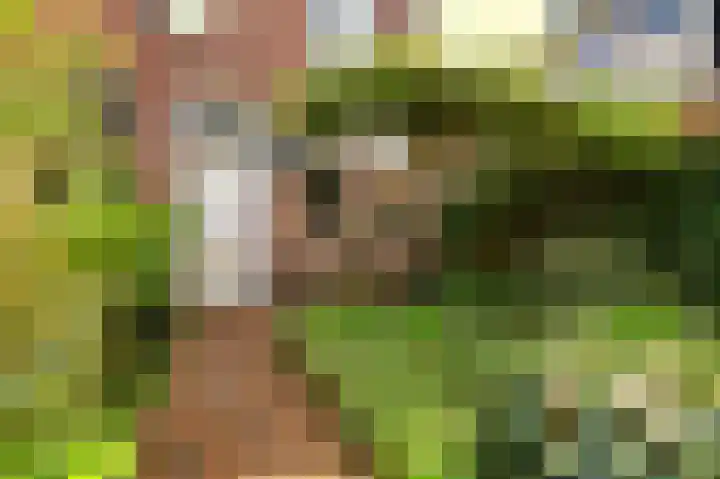 Popelmanslaan 5 Alkmaar thumbnail 5