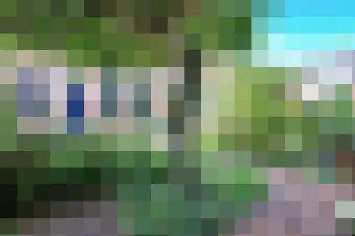 Popelmanslaan 5 Alkmaar thumbnail 6