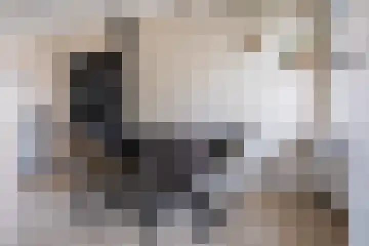 Popelmanslaan 8 Alkmaar thumbnail 10