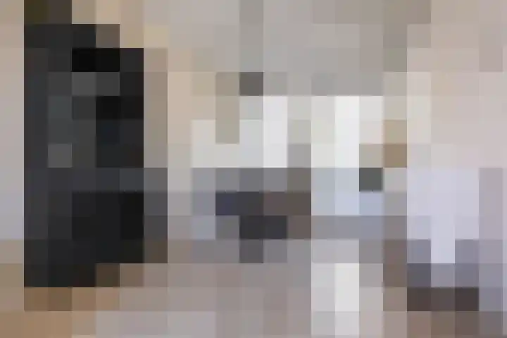 Popelmanslaan 8 Alkmaar thumbnail 12