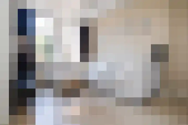 Popelmanslaan 8 Alkmaar thumbnail 14