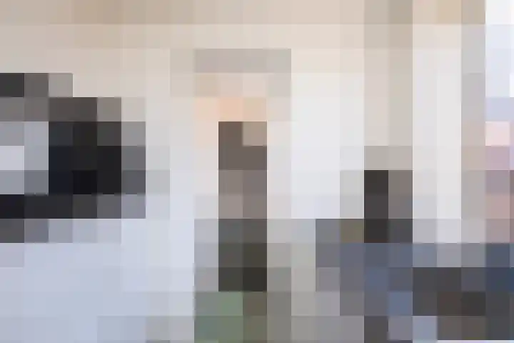 Popelmanslaan 8 Alkmaar thumbnail 20