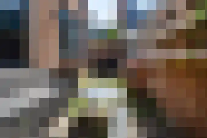 Popelmanslaan 8 Alkmaar thumbnail 33