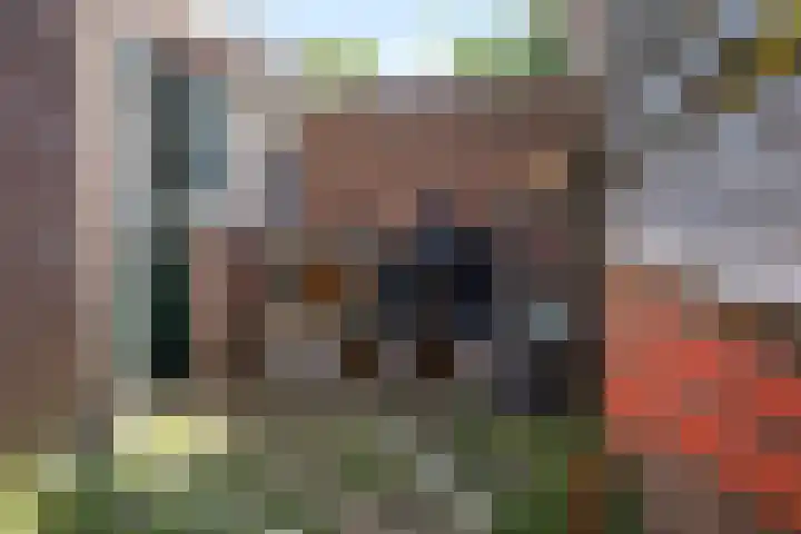 Popelmanslaan 8 Alkmaar thumbnail 34