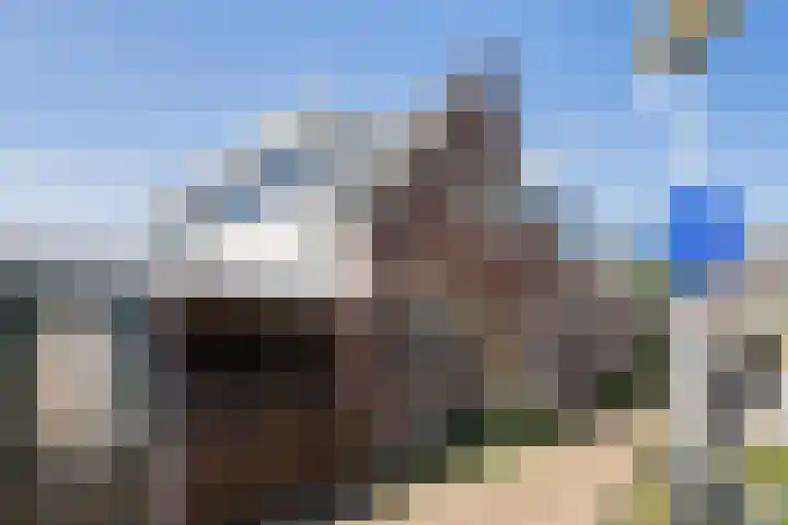 Popelmanslaan 8 Alkmaar thumbnail 7