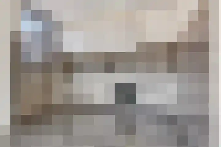 Poperingestraat 10 Breda thumbnail 10