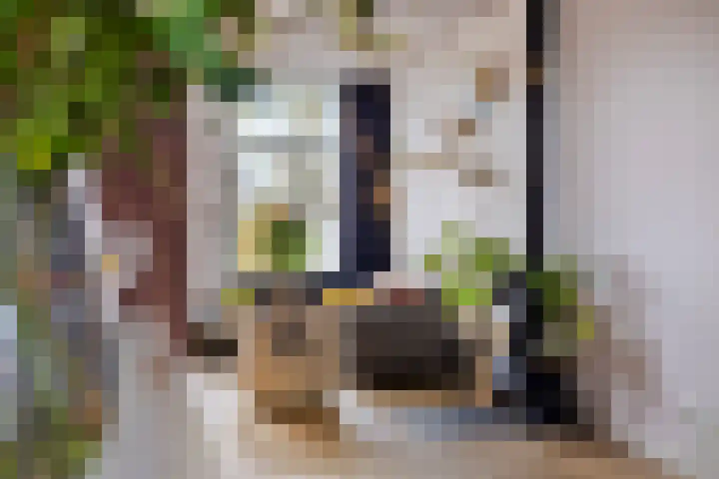 Popmawal 15 IJlst thumbnail 17