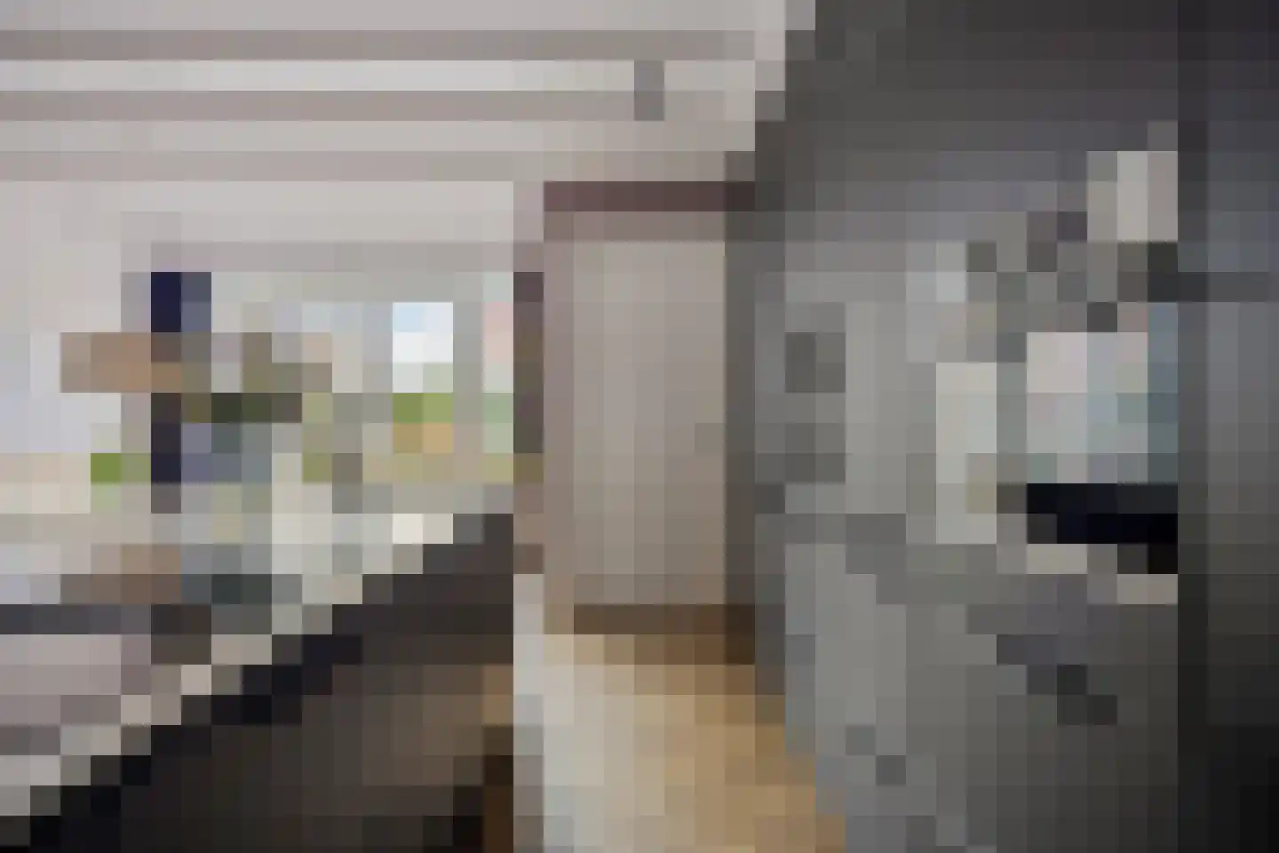 Popmawal 15 IJlst thumbnail 22