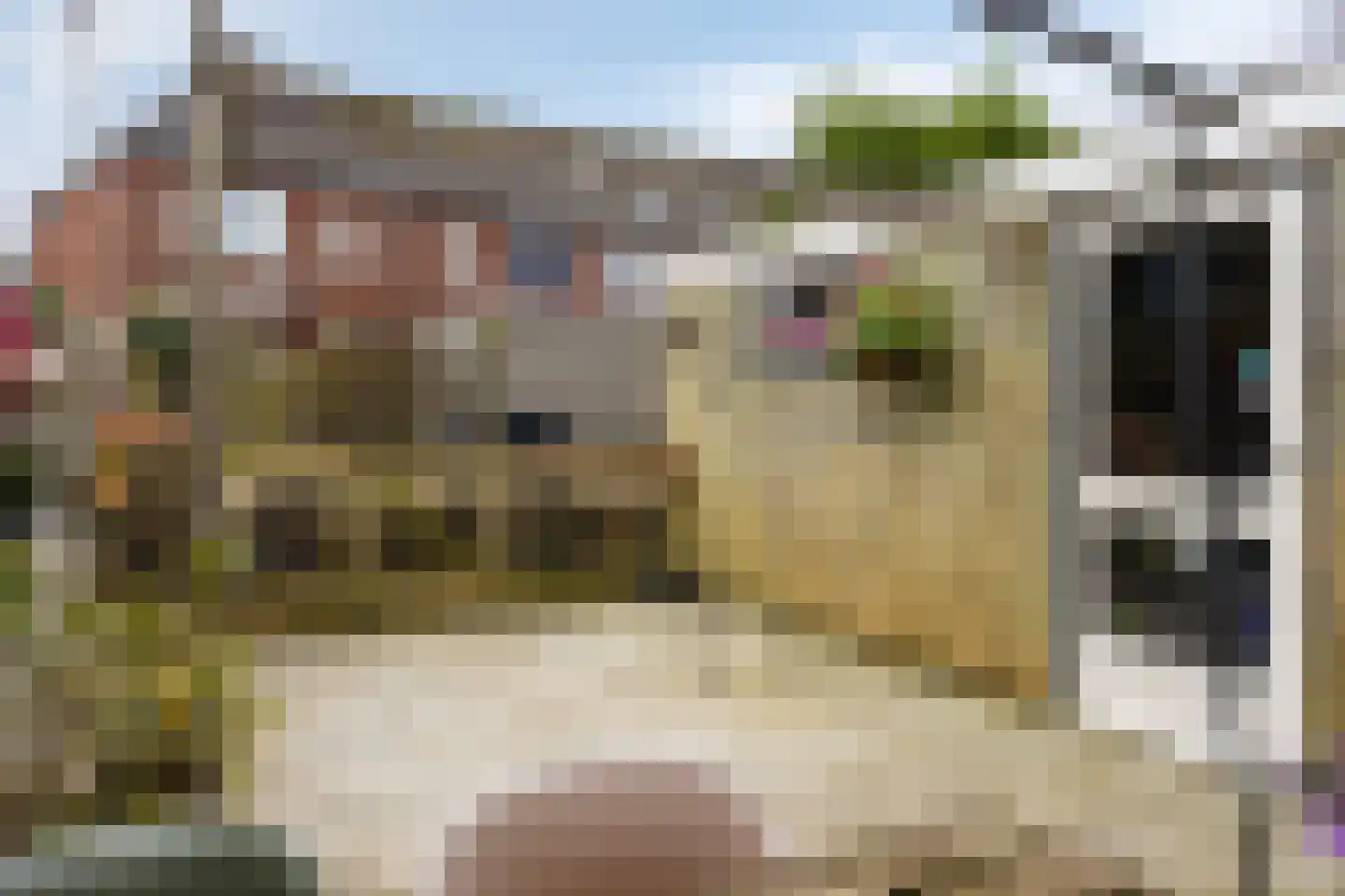Popmawal 15 IJlst thumbnail 39