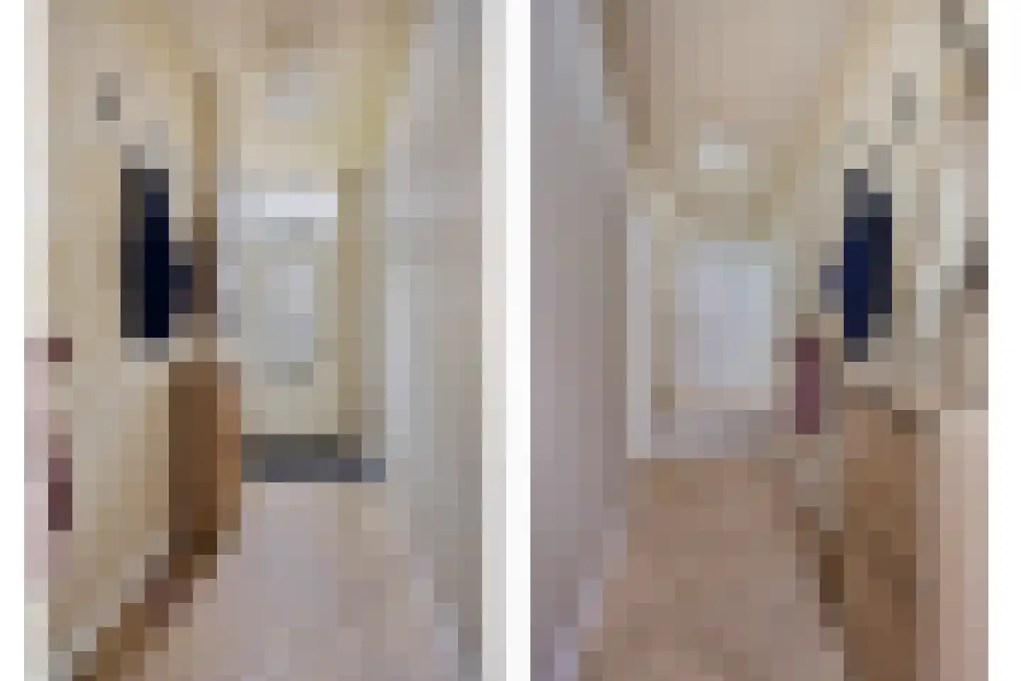 Popmawal 15 IJlst thumbnail 7