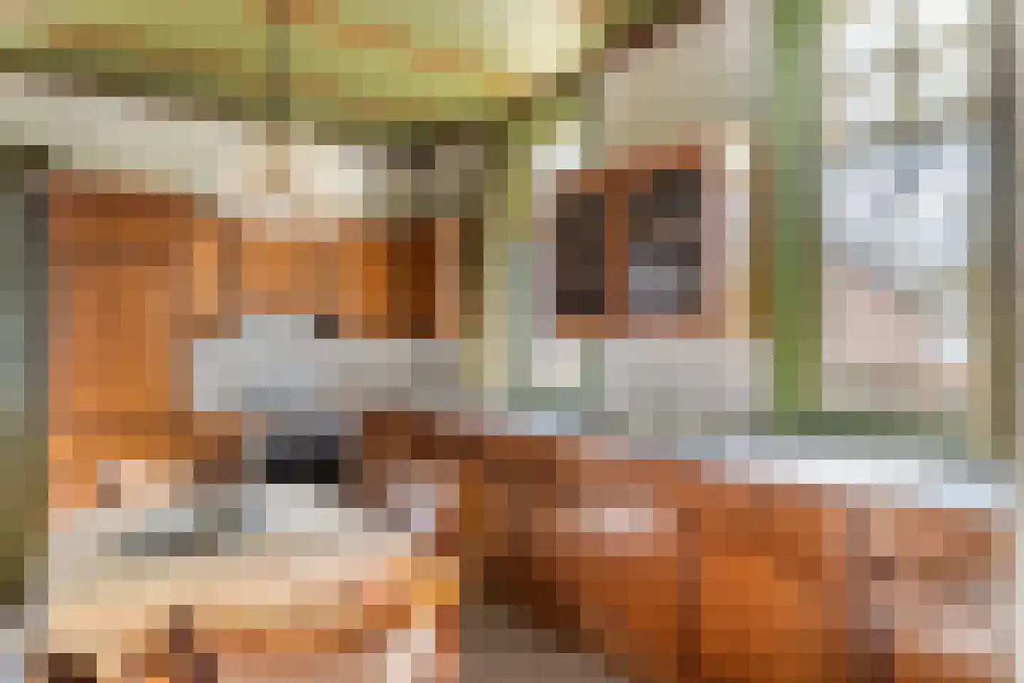 Poppelenburgerstraat 2 Geldermalsen thumbnail 24
