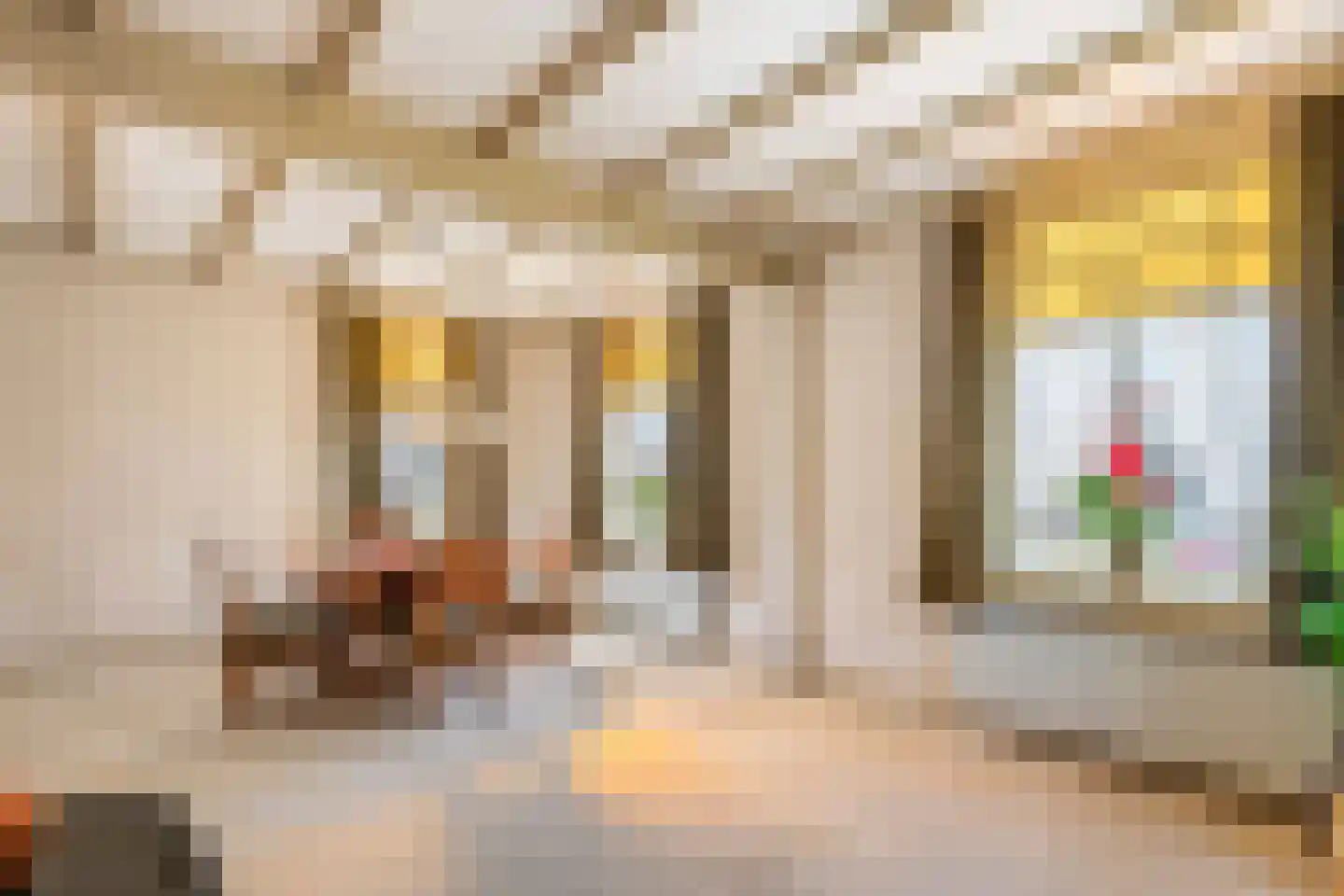 Poppelenburgerstraat 2 Geldermalsen thumbnail 26