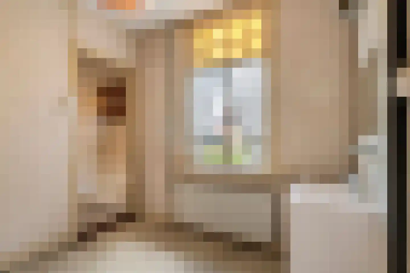 Poppelenburgerstraat 2 Geldermalsen thumbnail 29