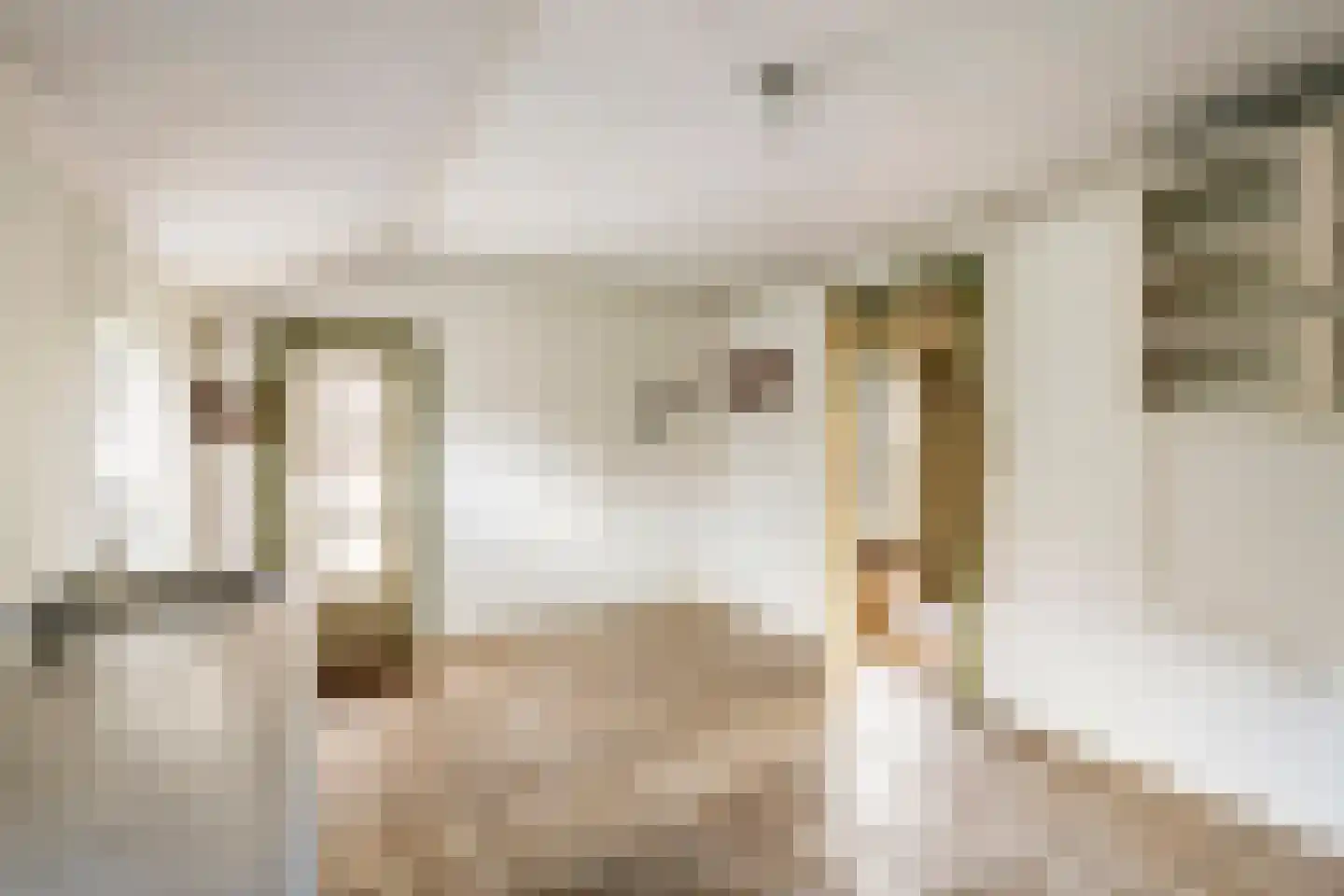 Poppelenburgerstraat 2 Geldermalsen thumbnail 31