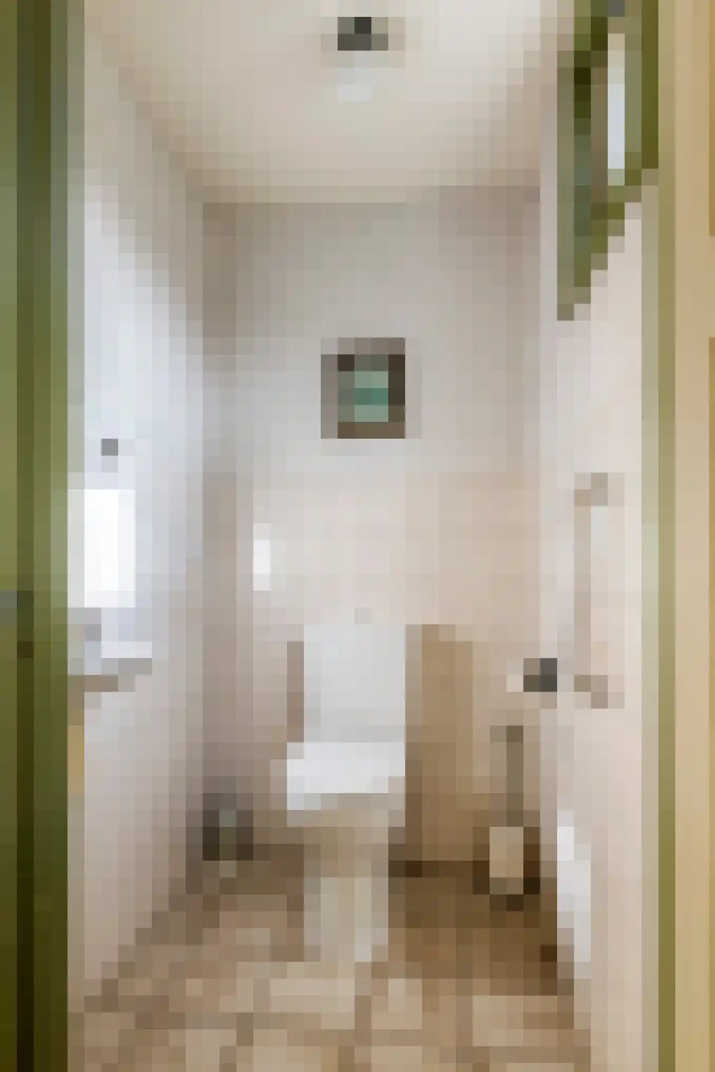 Poppelenburgerstraat 2 Geldermalsen thumbnail 32
