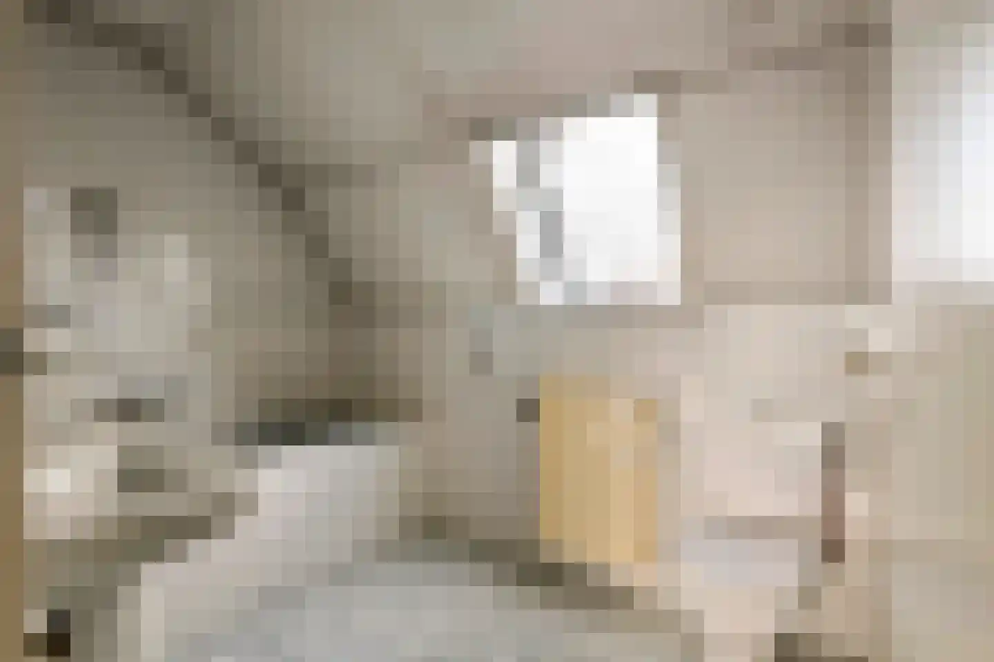 Poppelenburgerstraat 2 Geldermalsen thumbnail 39