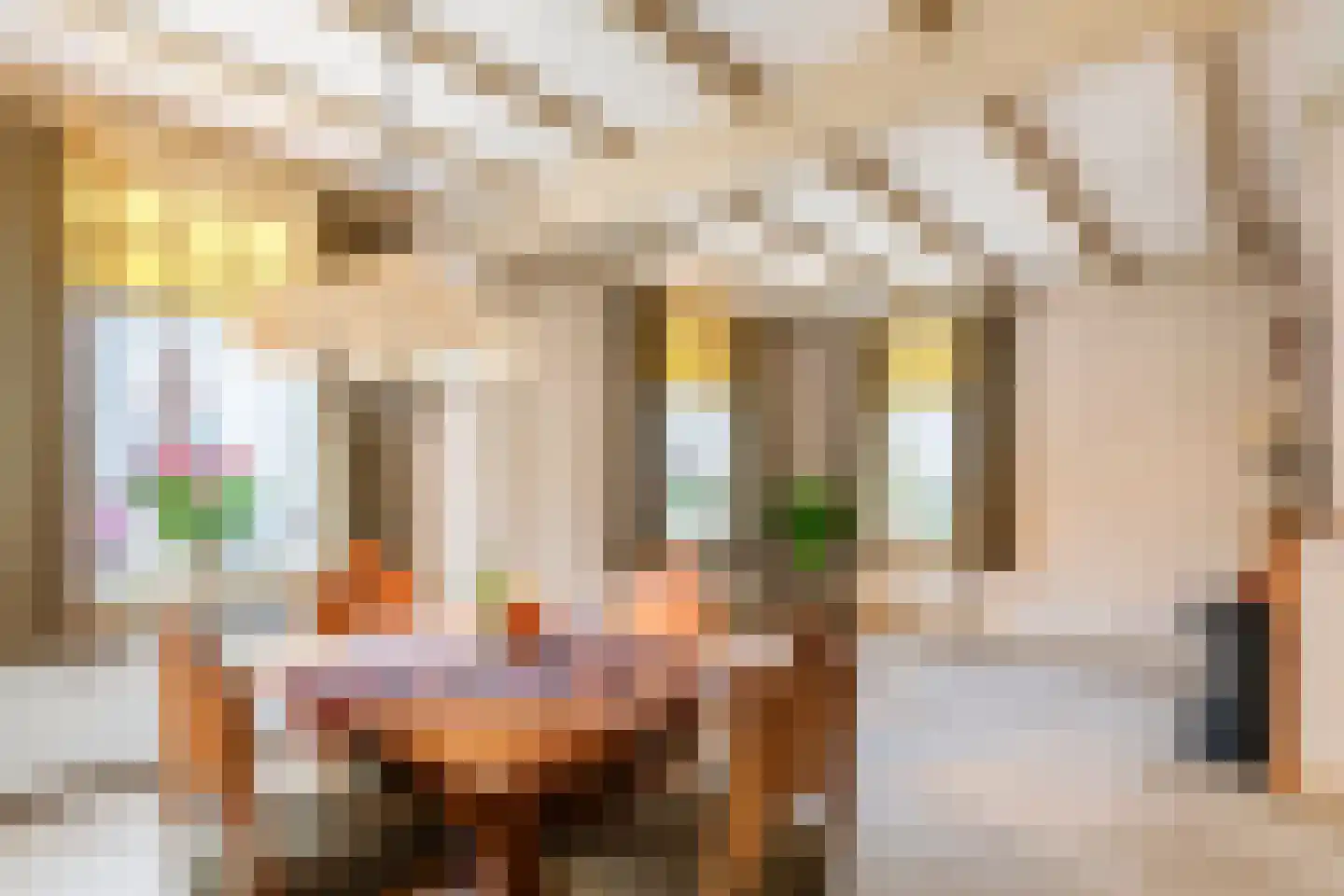 Poppelenburgerstraat 2 Geldermalsen thumbnail 4