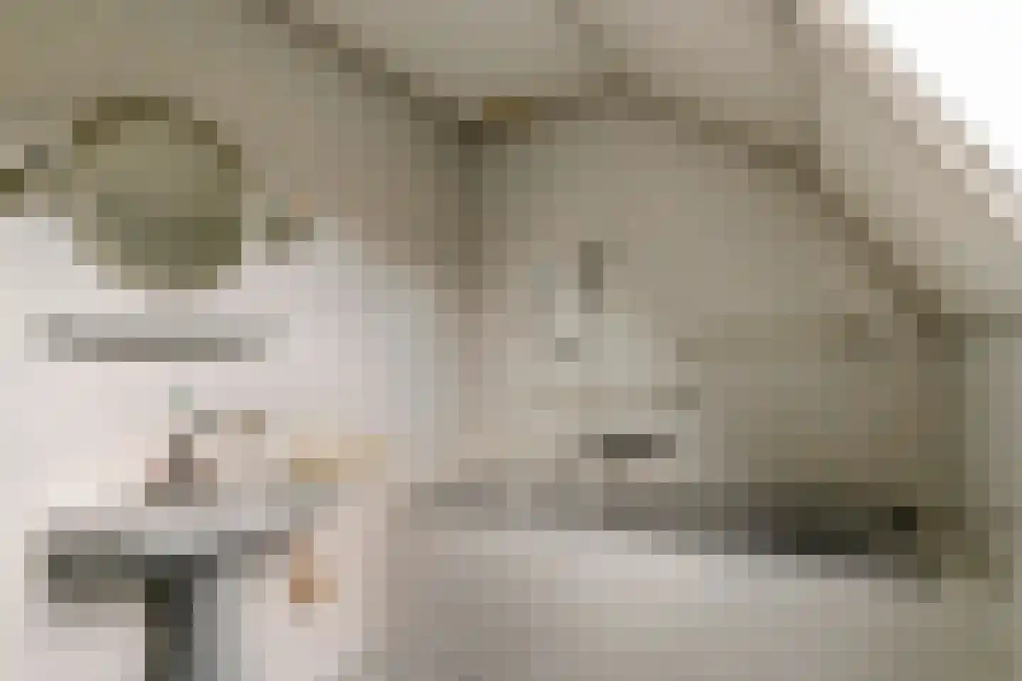 Poppelenburgerstraat 2 Geldermalsen thumbnail 40