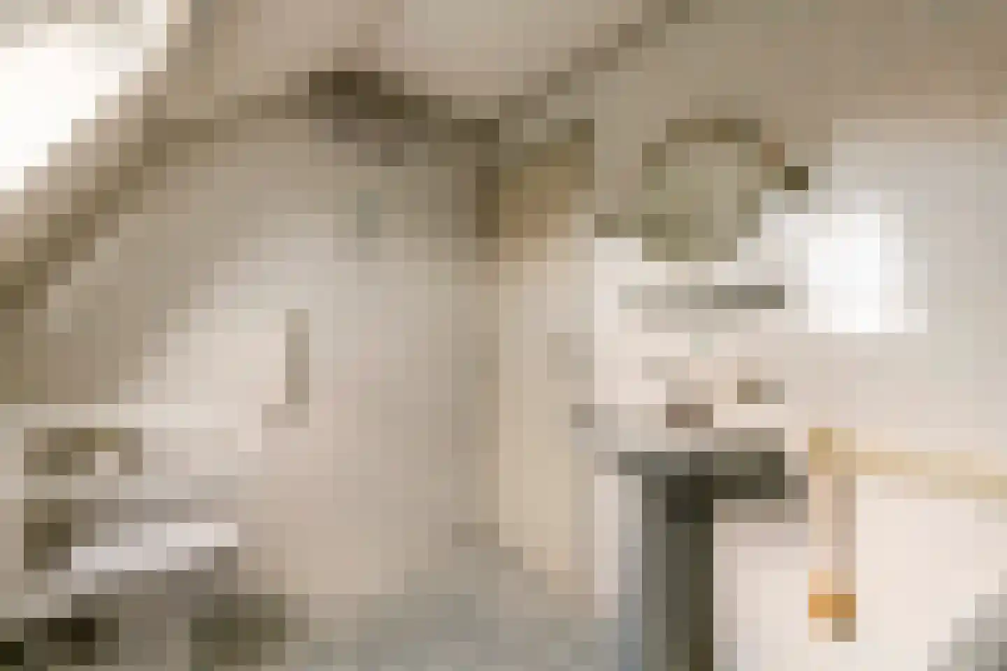 Poppelenburgerstraat 2 Geldermalsen thumbnail 41