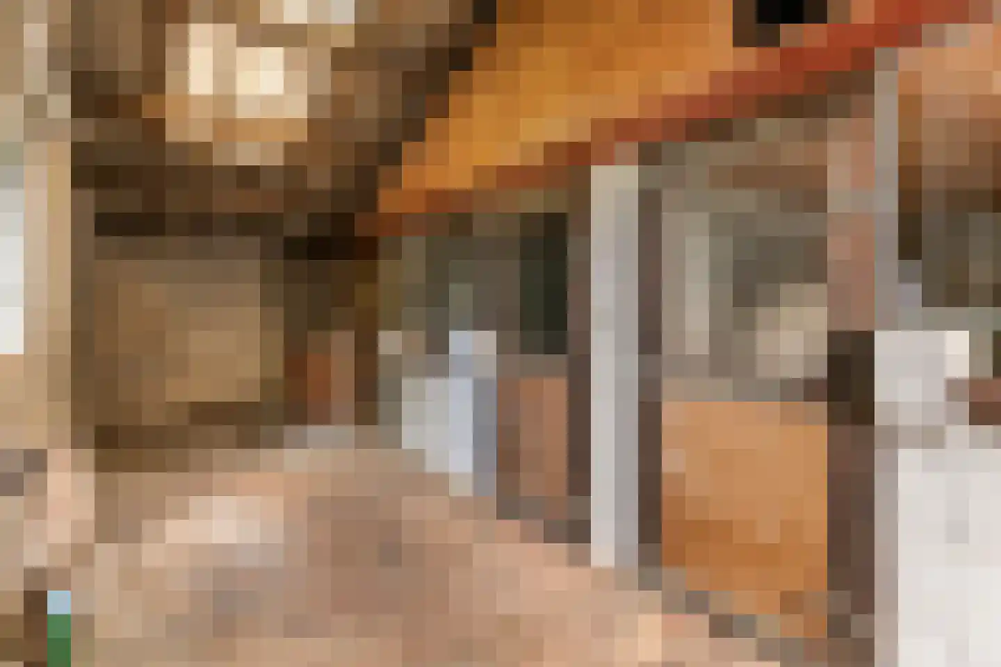 Poppelenburgerstraat 2 Geldermalsen thumbnail 46